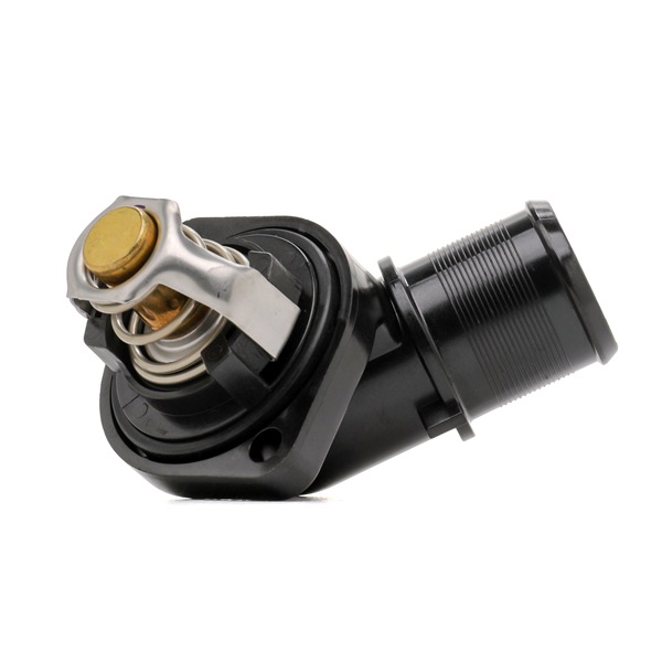 DAYCO DT1202H Thermostat d'eau