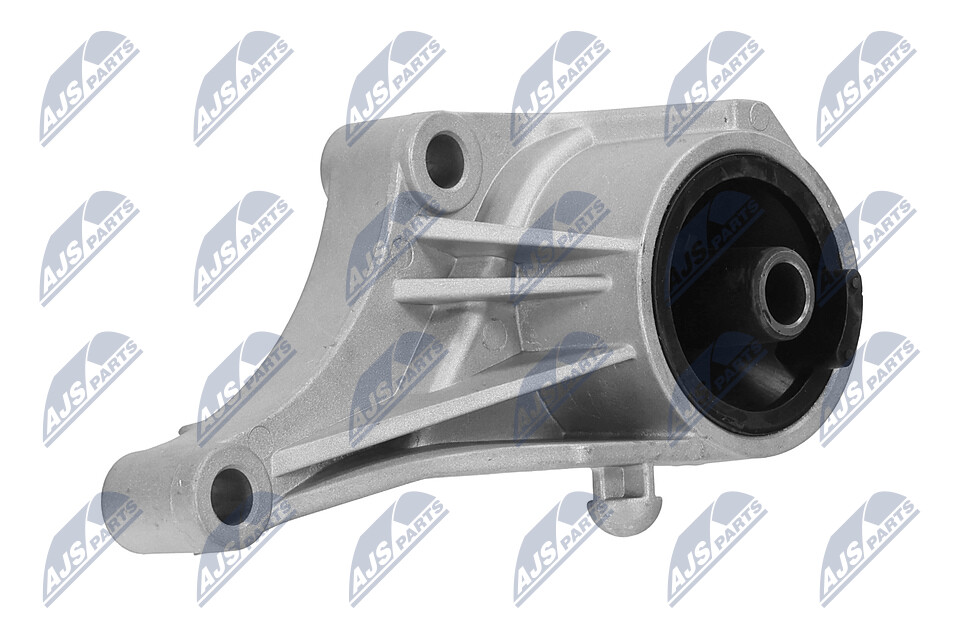 Supporto motore ZPS-PL-007 NTY 684 238 CHEVROLET