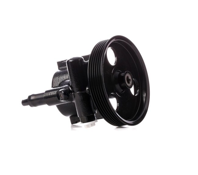 RIDEX 12H0191 Servostyrings-pumpe Renault Scenic 1 2.0 16V (JA1B, JA1D, JA0C) 139 HK Benzin pris
