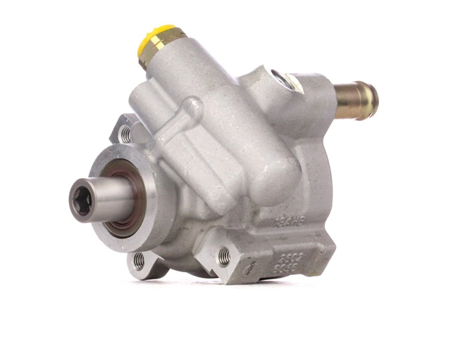 STARK SKHP-0540193 Elektrische Servopumpe Renault Trafic JL 1.9 dCI 100 101 PS Diesel Kosten