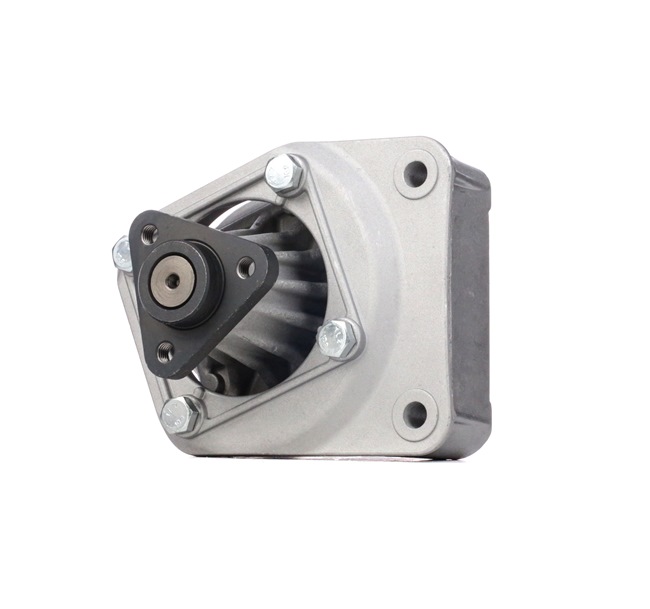 Servopump 12H0200 RIDEX 1 141 036 BMW