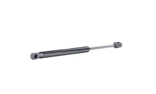 RIDEX 219G0922 Kaasujousi, tavaratila