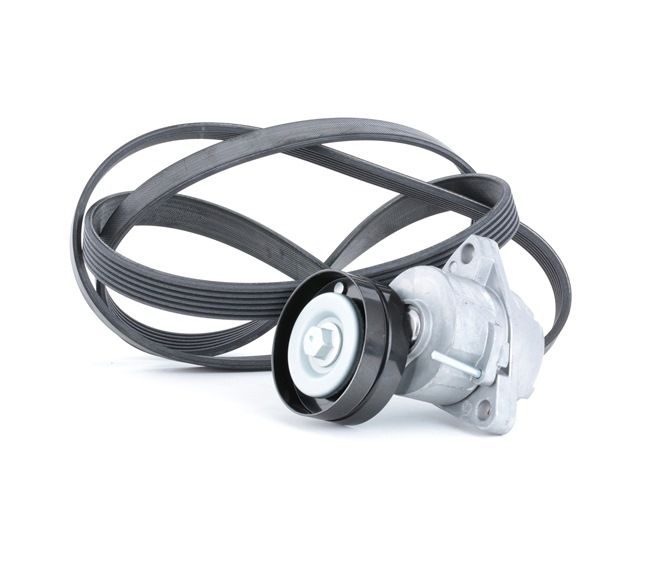 Multirem 542R0050 RIDEX MZ690266 FORD