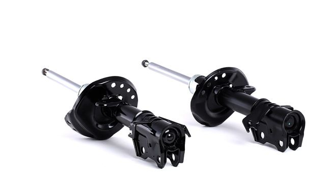 RIDEX 854S2255 Stötdämpare