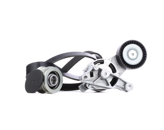RIDEX 542R0063 Jeu de courroies trapézoïdales à nervures