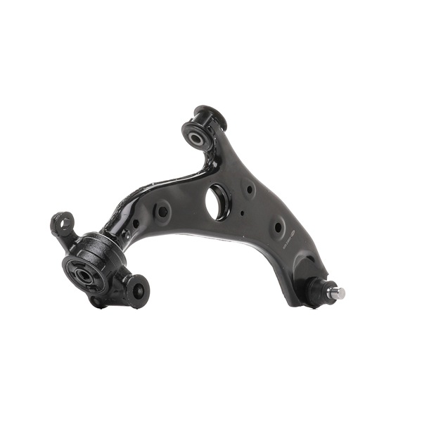 MAGNETI MARELLI 301181381200 Braccetti ROVER MINI MK I prezzo