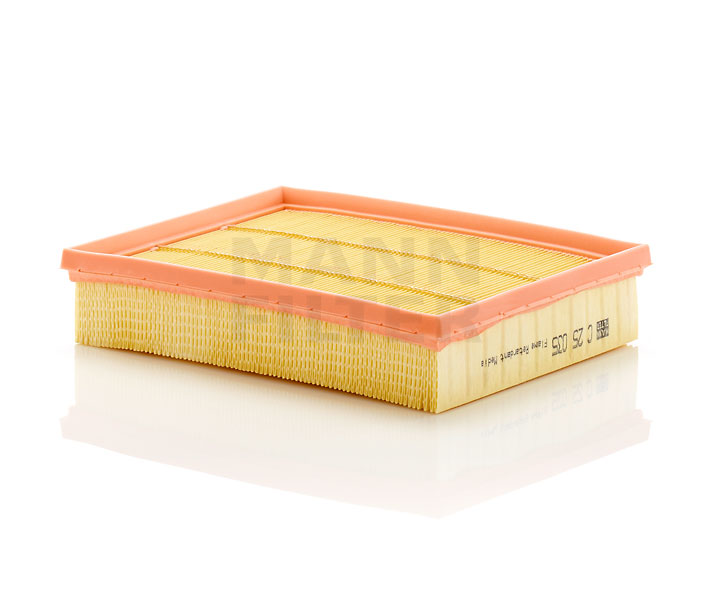 MANN-FILTER C 25 035 Filtre à air
