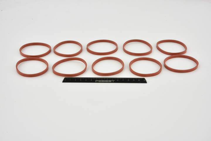 RINGAH-032-PCS10 FEBEST insugspackning