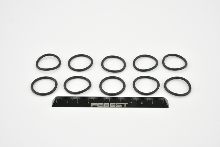 Junta, colector de admisión RINGOL-059-PCS10 FEBEST 15066EN200 NISSAN