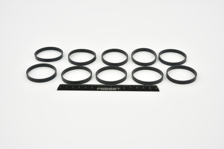 Uszczelnienie, kołnierz przewodu cieczy chłodzącej FEBEST SUZUKI RINGWH-021-PCS10