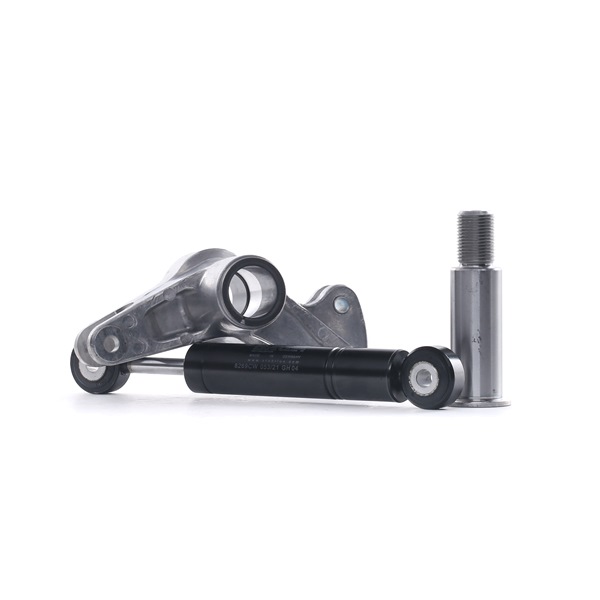 RIDEX 540T0025 Brazo tensor, correa poli V