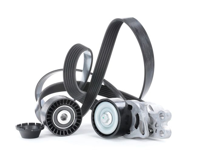 Courroie Poly-V 542R0086 RIDEX 5750 WG FORD