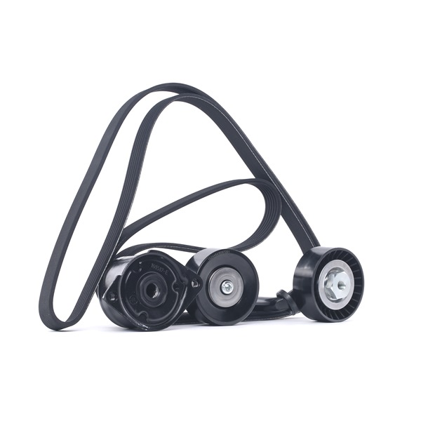RIDEX 542R0089 Moniurahihnasarja