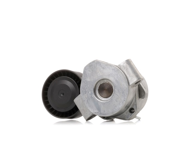 RIDEX 310T0289 Τεντωτήρας, ιμάντας poly-V