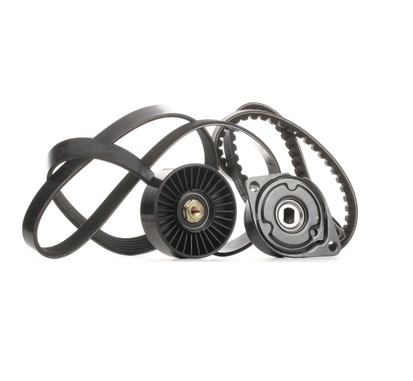 RIDEX 542R0099 Hosszbordás szíj készlet Seat Toledo 1L 1.9 TDI 110 LE Dízel árak