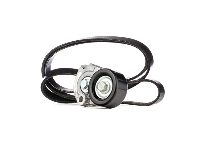 RIDEX 542R0100 Kileremssæt Opel Astra G CC 1.6 LPG (F08, F48) 101 HK Benzin/Autogas (LPG) pris