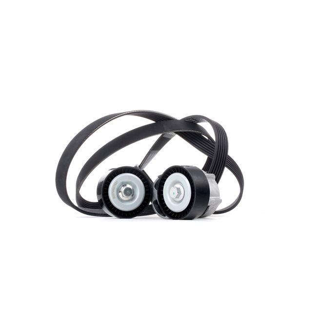 RIDEX 542R0110 Keilrippenriemensatz BMW E87 118i 2.0 143 PS Benzin Kosten