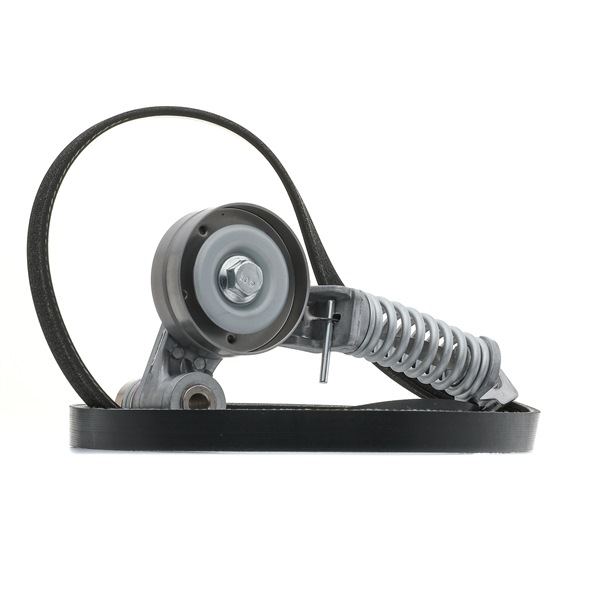 RIDEX Ozubený klinový remeň - Sada 542R0116 Sada klinového rebrovaného remena JAGUAR RIDEX 542R0116