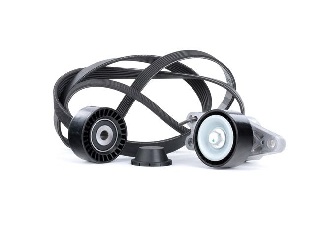 RIDEX 542R0133 Multiriem set Peugeot 206 2a/c 1.6 16V 109 Pk Benzine prijs