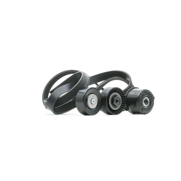 RIDEX 542R0144 Keilrippenriemensatz BMW E65 730d 211 PS Diesel Kosten