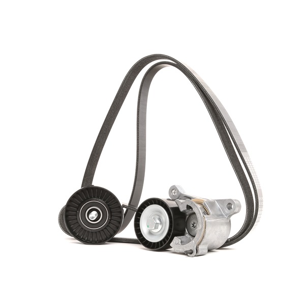 RIDEX 542R0154 Drivremssats Peugeot 407 SW 2.2 158 hk Bensin pris