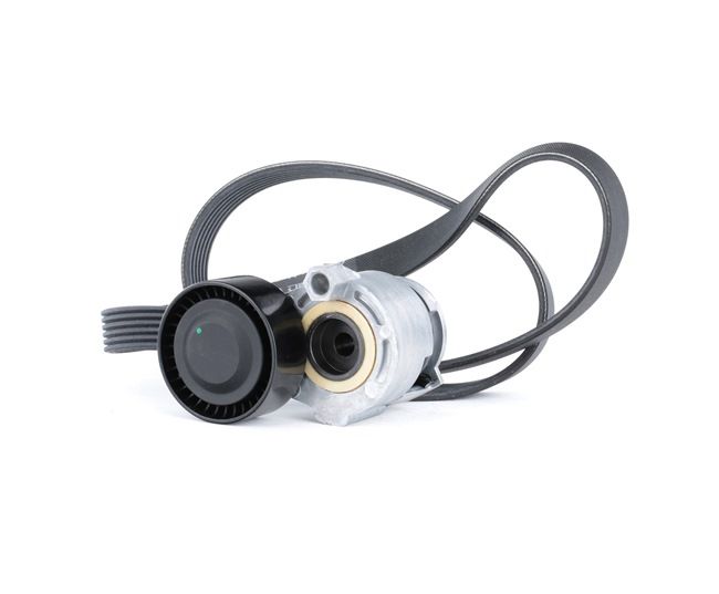 RIDEX 542R0170 Σετ ιμάντων poly-v Renault Clio 2 Hatchback 1.5 dCi 65 PS Πετρέλαιο τιμες