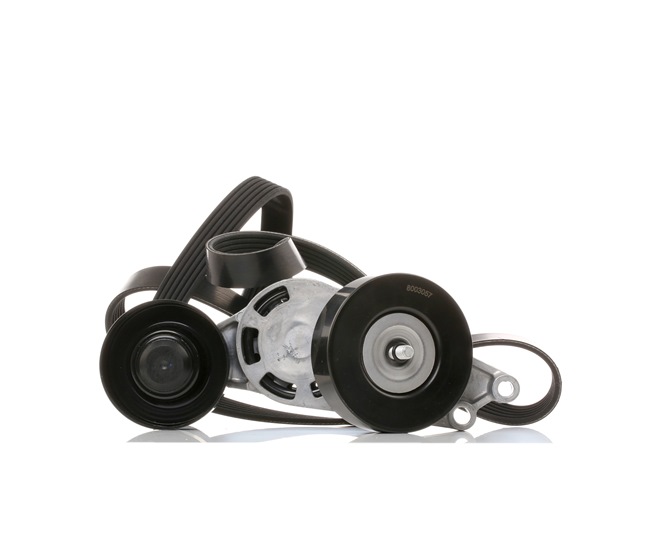 STARK SKRBS-1200182 Keilrippenriemensatz Audi A4 8h 2.0 TFSI 16V 200 PS Benzin Kosten