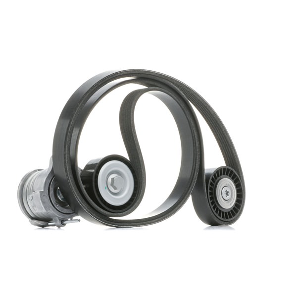 RIDEX 542R0186 Multiriem set Opel Antara 07 2.0 CDTI 150 Pk Diesel prijs