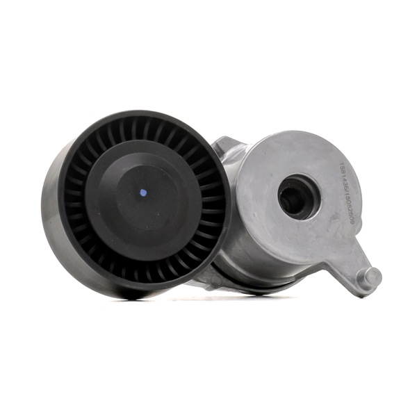 RIDEX 310T0300 Poulie, tendeur de courroie d'accessoire