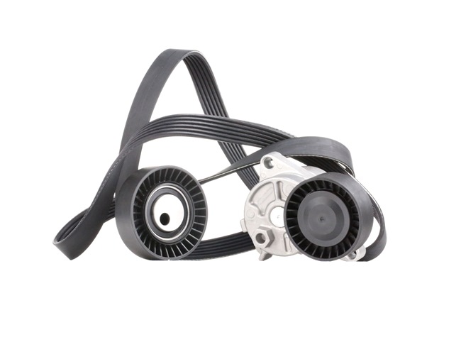 RIDEX Ozubený klinový remeň - Sada 542R0198 RIDEX Sada klinového rebrovaného remena JAGUAR 542R0198
