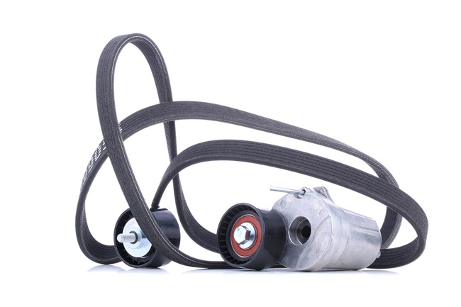 RIDEX 542R0202 V-Ribbed Belt Set