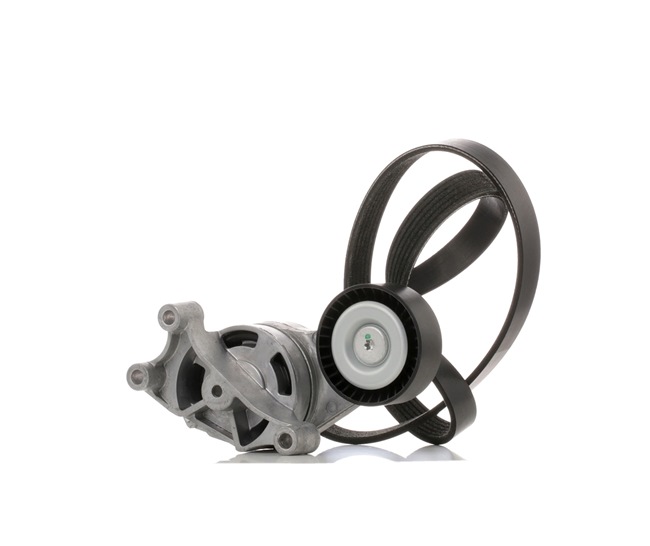 RIDEX 542R0211 Hosszbordás szíj készlet Seat Toledo 3 2.0 TFSI 200 LE Benzin árak