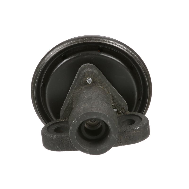 DELPHI EG10244 Zawór EGR