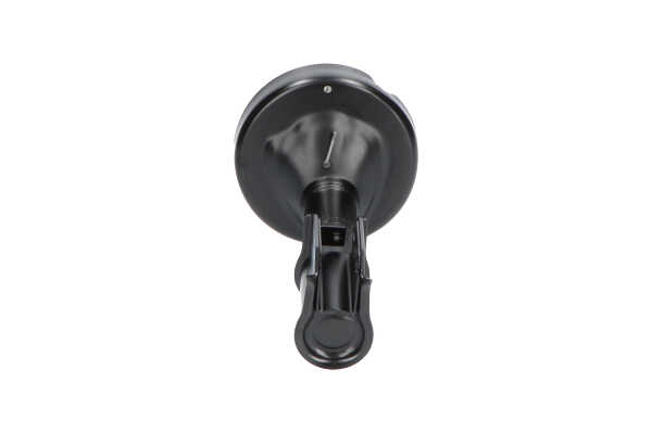 Shock absorber SSA-10212 KAVO PARTS 77 00 434 925 RENAULT