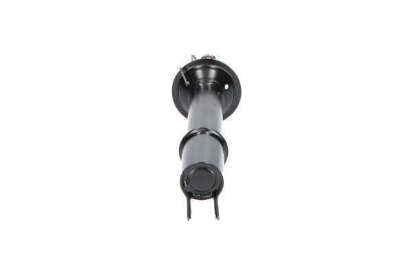KAVO PARTS SSA-10216 Federbein Renault Scenic 1 1.6 102 PS Benzin Kosten