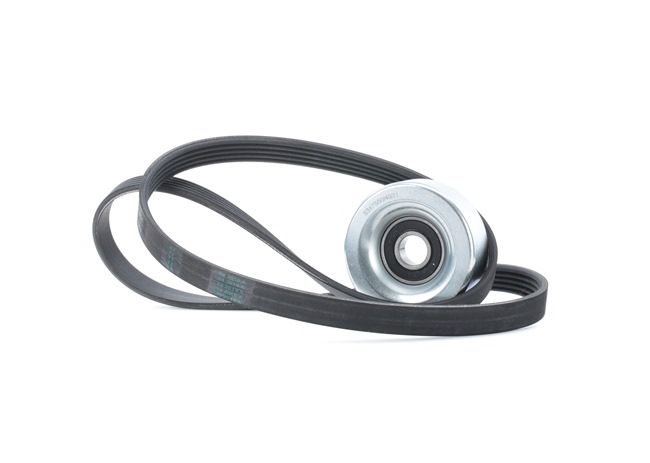RIDEX 542R0215 Poly V-riem set