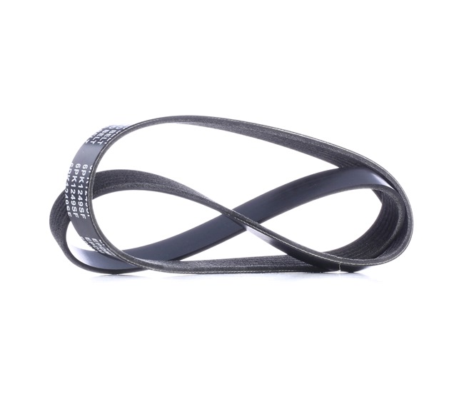 RIDEX 305P0409 Correa trapecial poli V