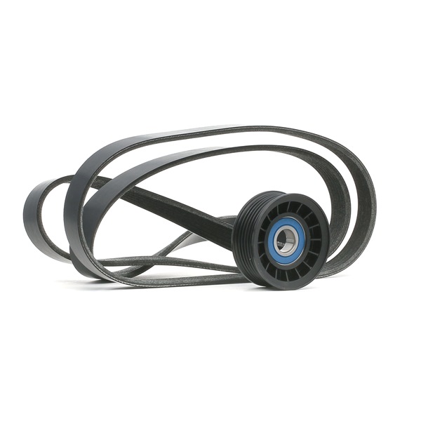 RIDEX 542R0217 Kileribberemssæt Ford C-Max DM2 2.0 145 HK Benzin pris