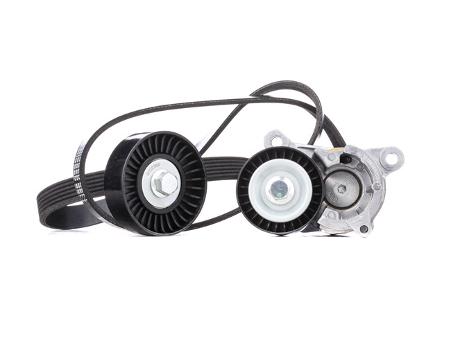 STARK SKRBS-1200217 Poly v riem set Peugeot 406 Station Wagon 2.0 16V 136 Pk Benzine prijs