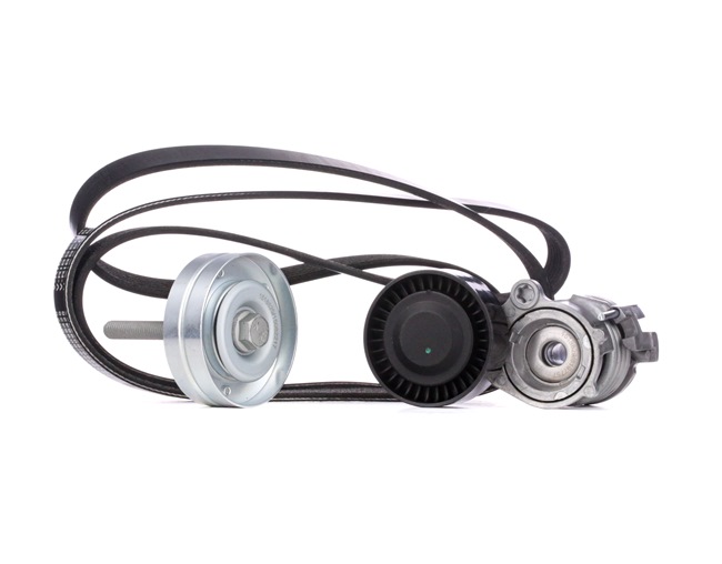 RIDEX 542R0225 Poly v riemen kit Polo 9N 1.2 60 Pk Benzine prijs