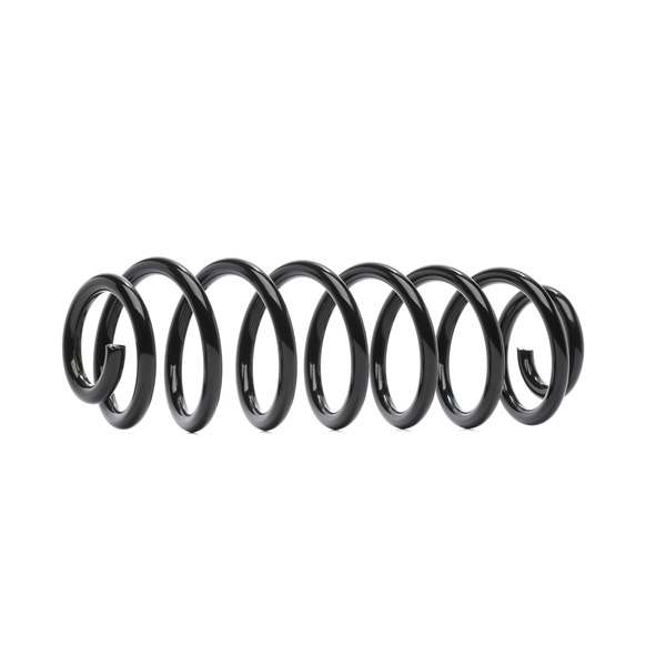 RIDEX 188C0653 Chassisveer