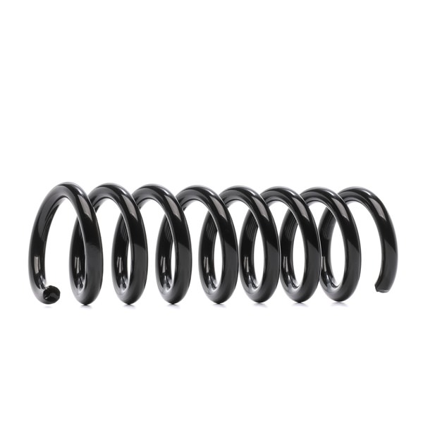 RIDEX 188C0656 Chassisveer
