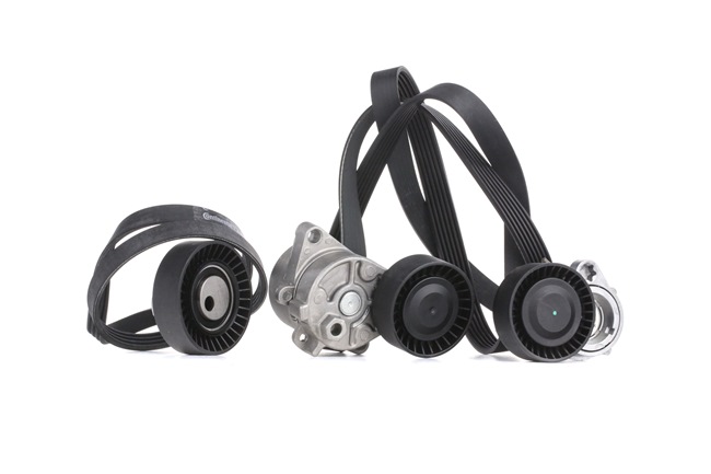 RIDEX 542R0244 Poly v riemen kit BMW 3 Coupe (E46) 330 Ci 231 Pk Benzine prijs