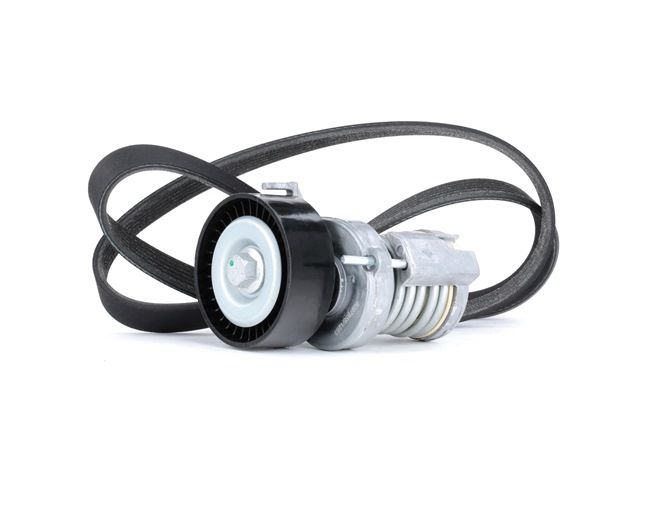 RIDEX 542R0248 Keilrippenriemensatz Lupo 3L 1.4 60 PS Benzin Kosten