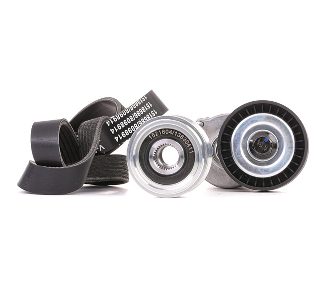 Poulie roue libre, alternateur 542R0249 RIDEX 03L 903 023 R FORD