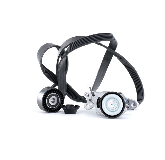 STARK SKRBS-1200250 Poly v riem set Peugeot 206 2a/c 1.6 16V 109 Pk Benzine prijs