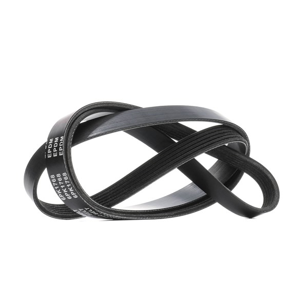 Multiriem 305P0413 RIDEX 97MF 6C301 BA VW