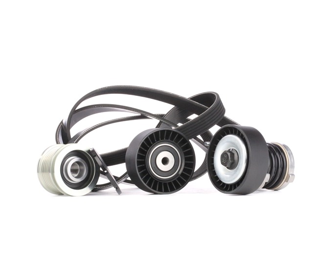 RIDEX 542R0257 Poly V-riem set