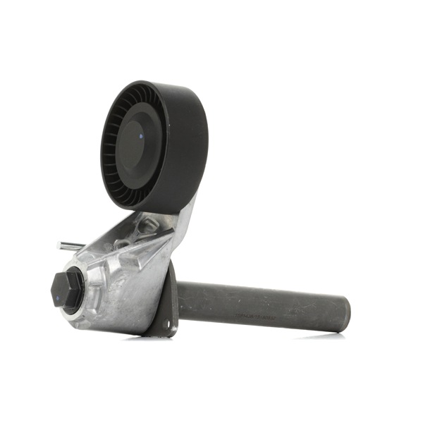 Poulie, tendeur de courroie d'accessoire 310T0308 RIDEX 11 28 7 799 851 Galet tendeur de courroie d'accessoire 310T0308 RIDEX 11 28 7 799 851 Volkswagen