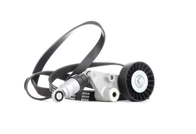 Keilrippenriemen 542R0283 RIDEX 1340664 RENAULT
